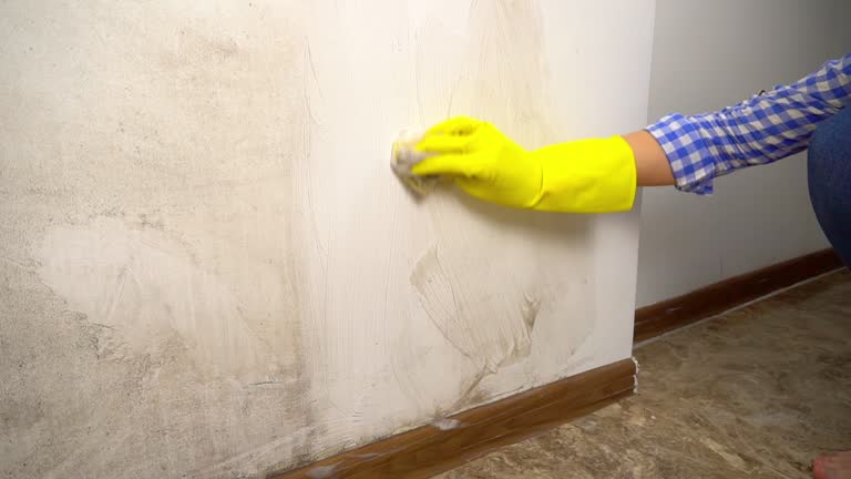 Best Crawl Space Mold Remediation  in Rancho Santa Margarita, CA