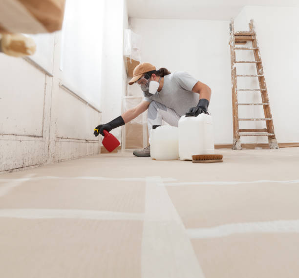 Mold Documentation for Insurance Claims in Rancho Santa Margarita, CA
